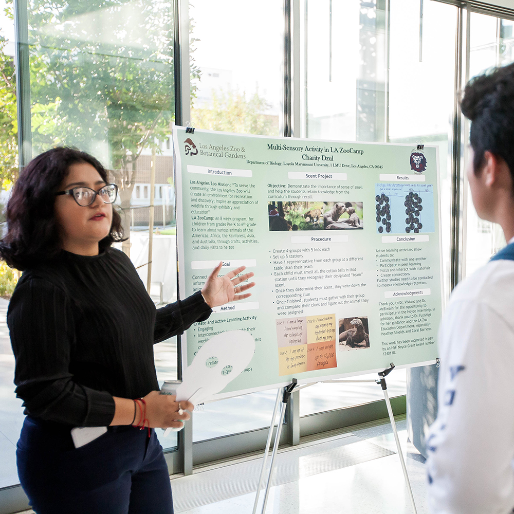 student presents posterboard project to another student